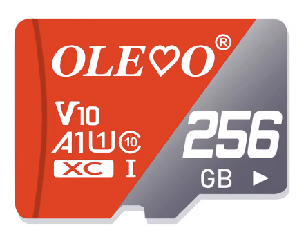 MicroSD 2 OLEOO 256Gb